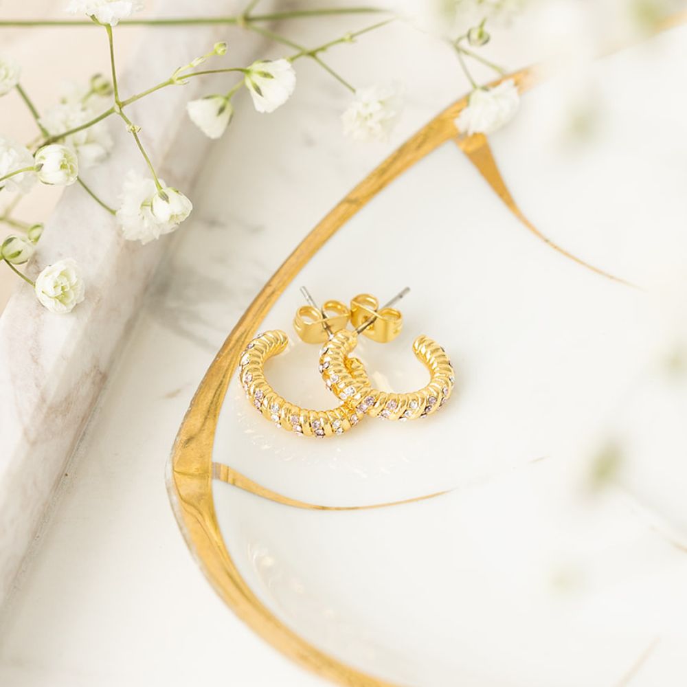 Twisted crystal earrings petite