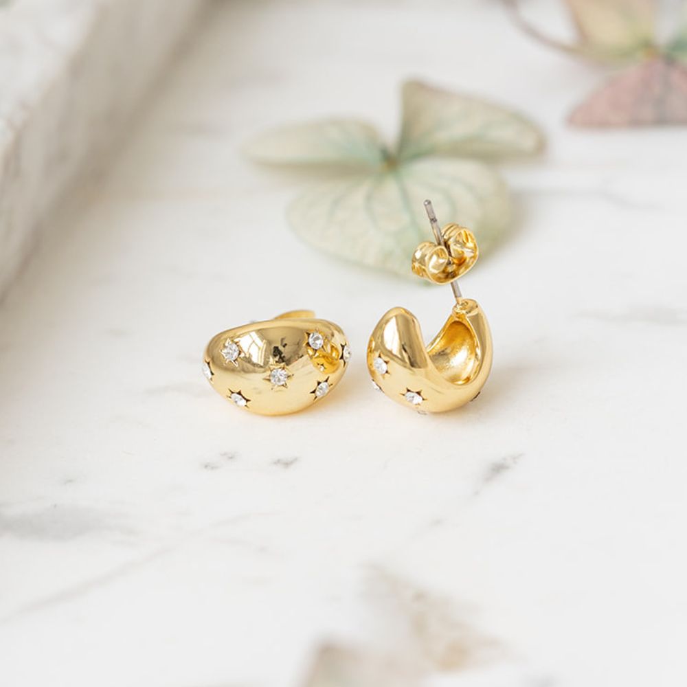 Ewy earrings crystals